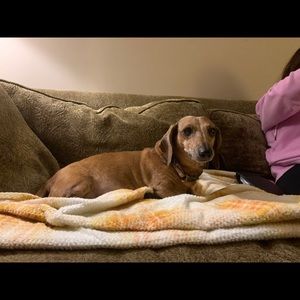 Meet your Posher, Dana